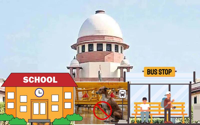  آوارہ کتوں اورمویشیوں پرسپریم کورٹ کے سخت ہدایات